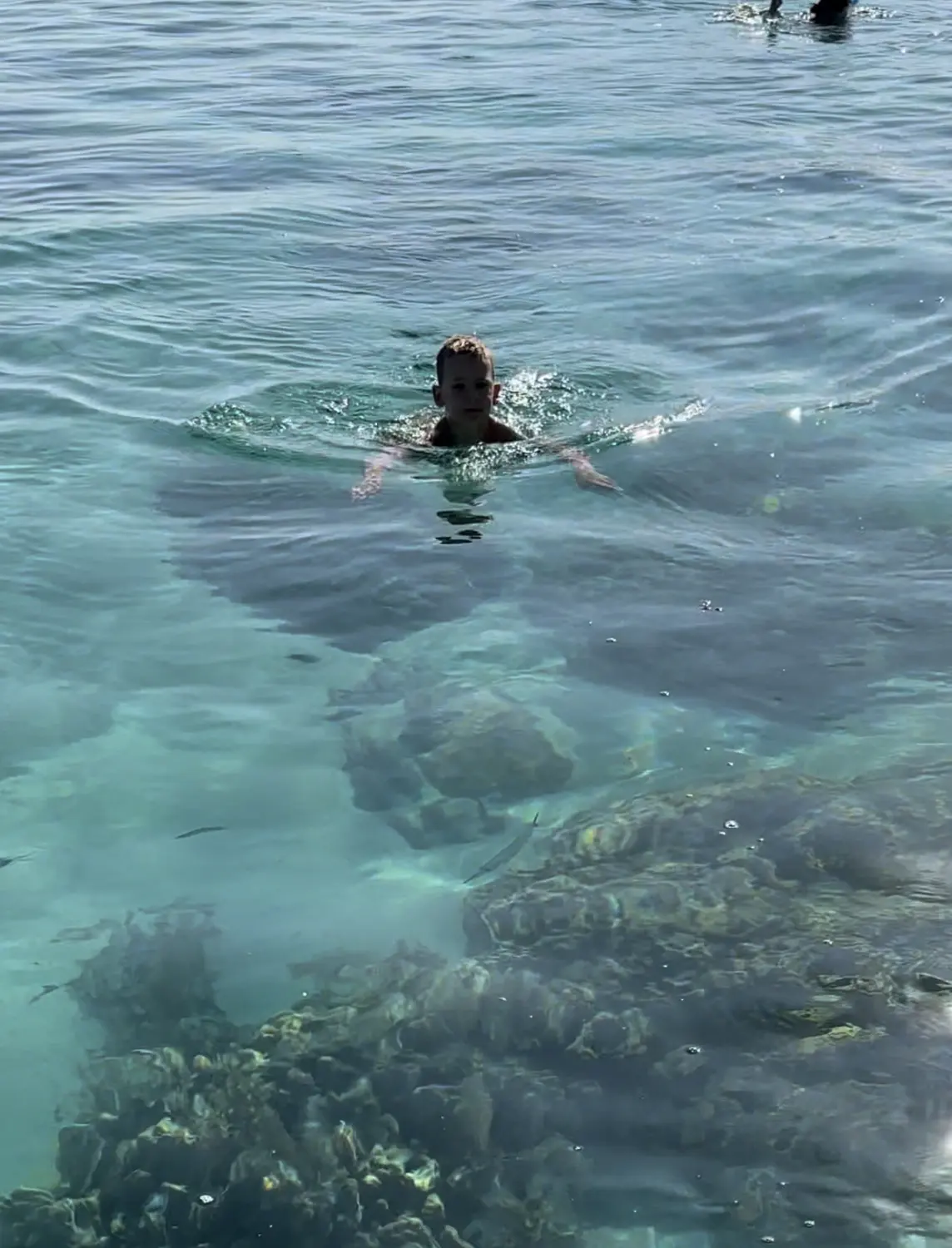 Schwimmen welove2swim